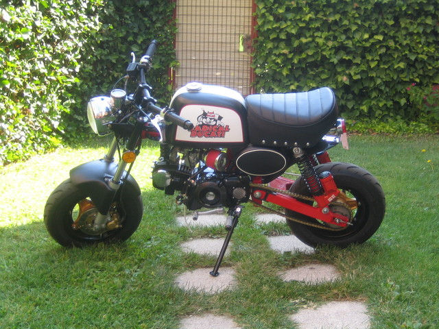 SUPERGORILA 2006